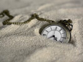 Po jakim czasie zwraca się koparka Kryptowalut?
