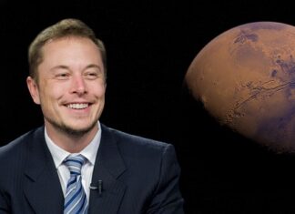 Czy Elon Musk inwestuję w kryptowaluty?