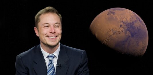 Czy Elon Musk inwestuję w kryptowaluty?